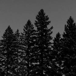 Zesegaandag : The Forgotten Light